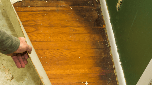 hardwood-floor-water-damage